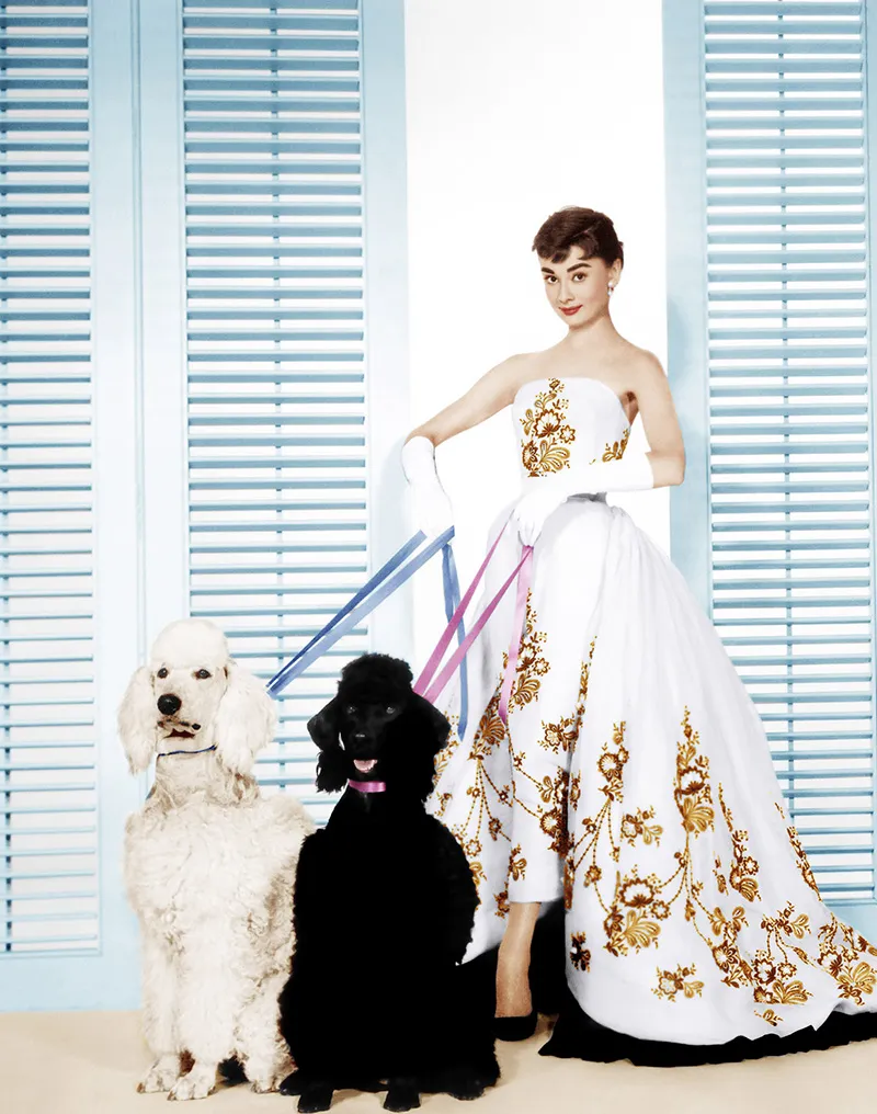 White embroidered gown, studio portrait